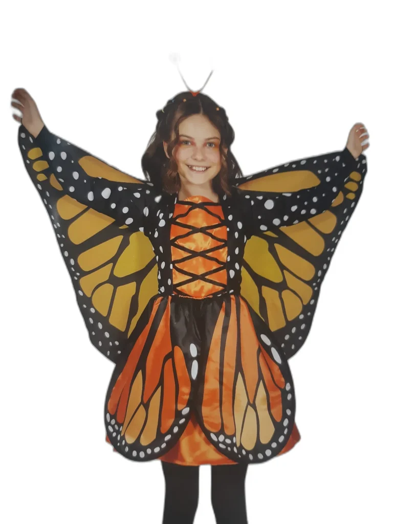 FARFALLA FARFALLINA FATA  - COSTUME CARNEVALE E FESTE A TEMA