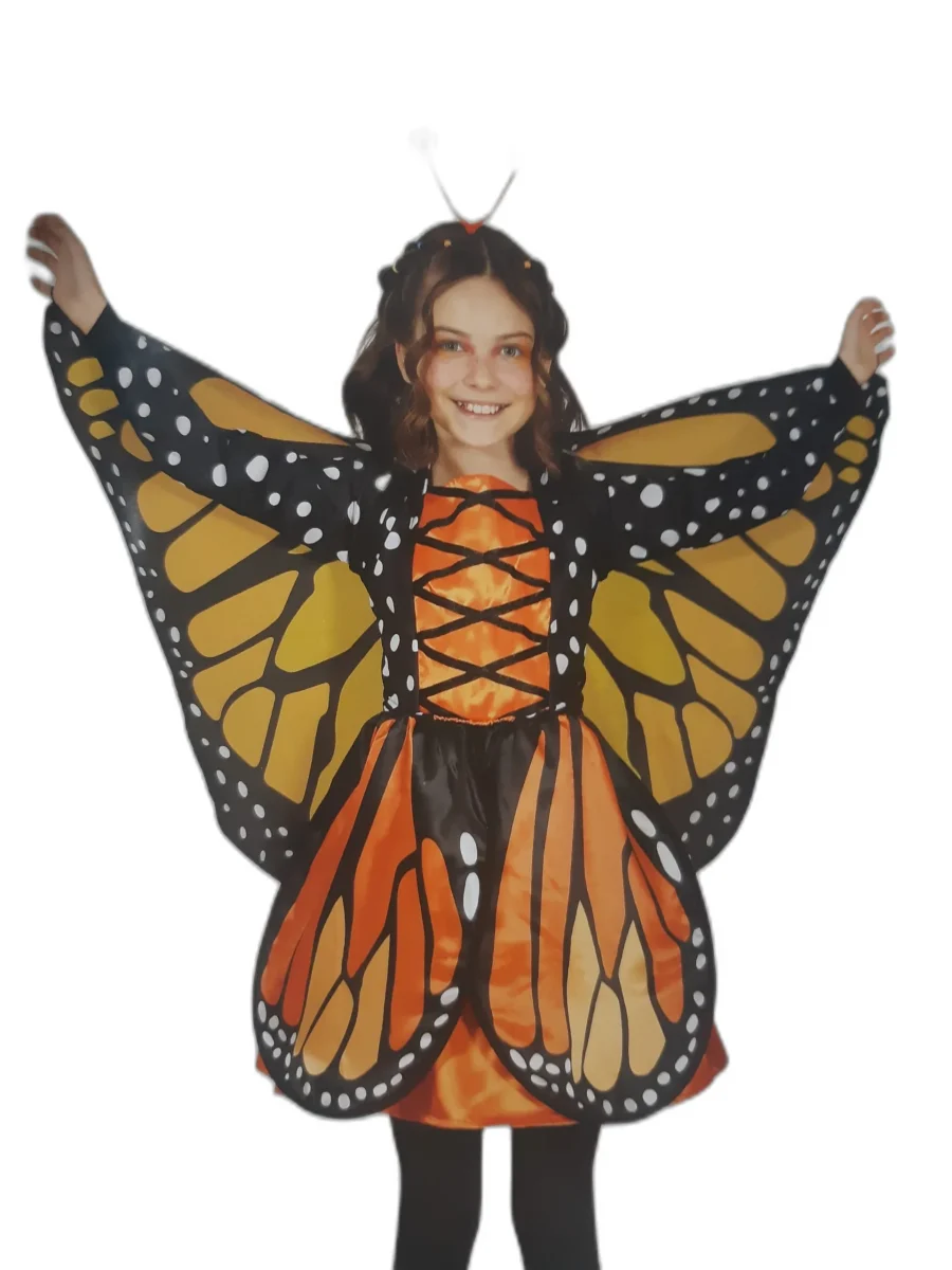 FARFALLA FARFALLINA FATA  - COSTUME CARNEVALE E FESTE A TEMA